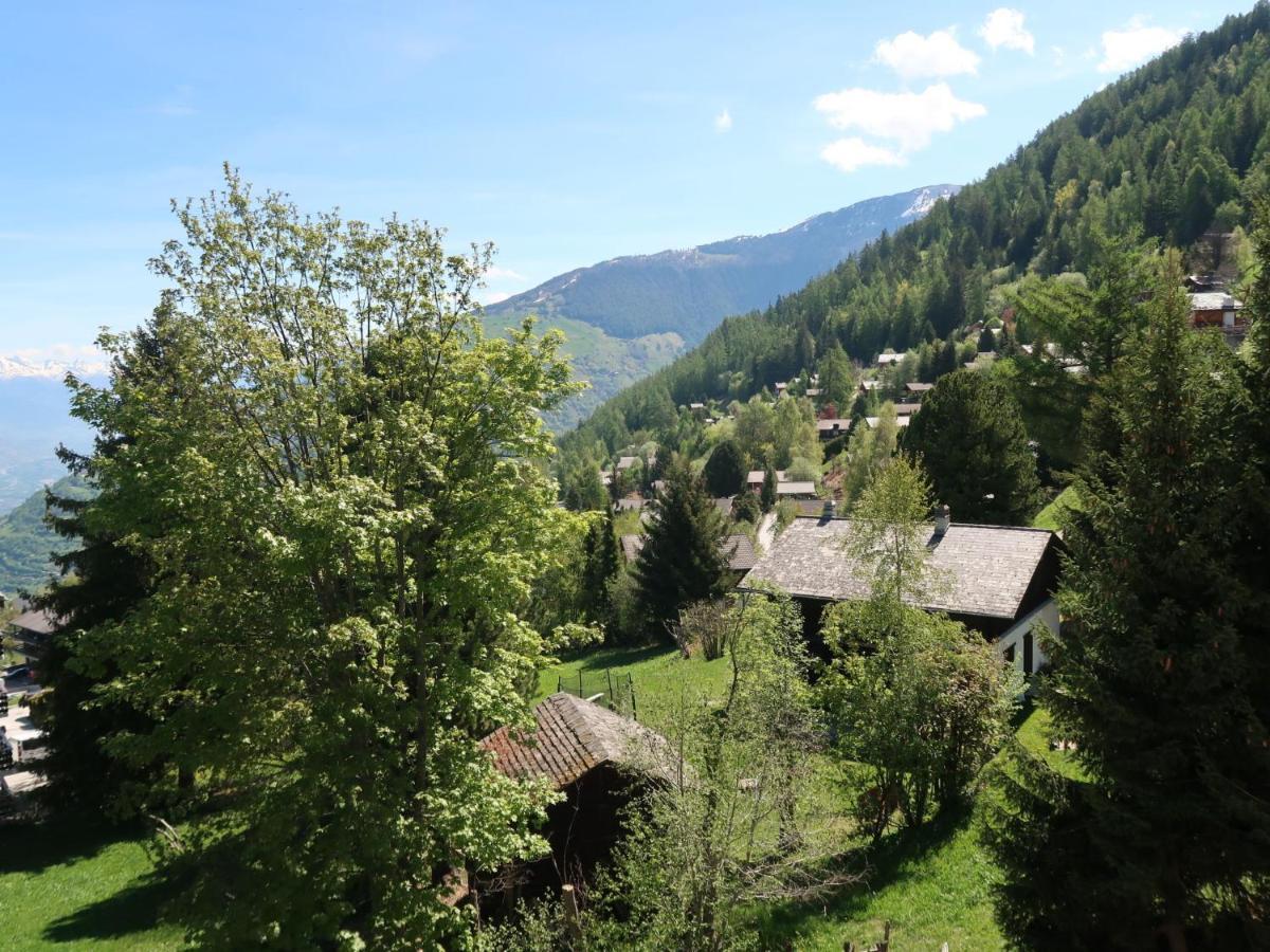 Apartment Montfort 9A By Interhome Nendaz Zewnętrze zdjęcie